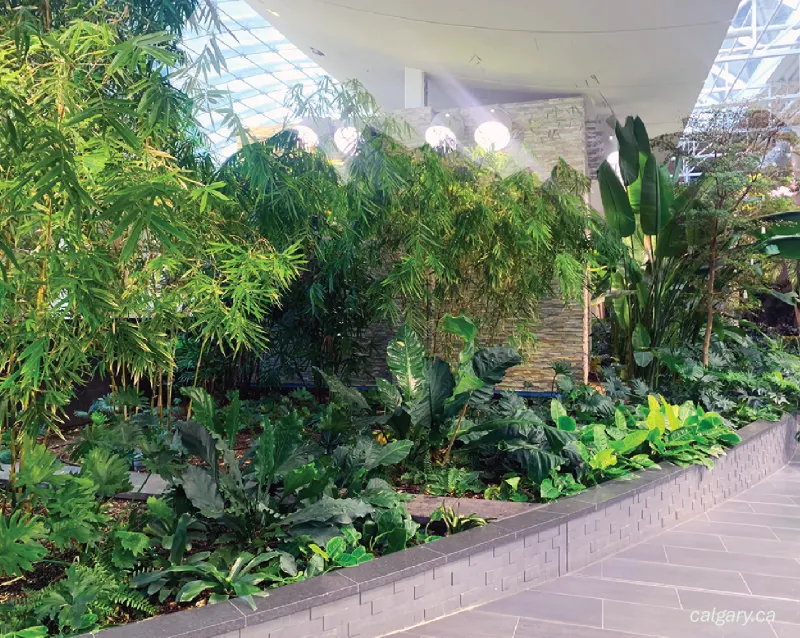 Indoor garden with lush greenery and natural light