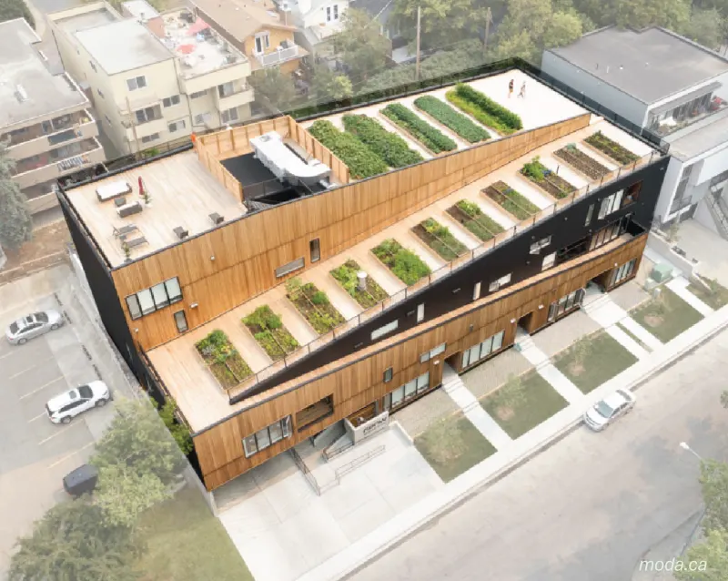 Bankview community garden